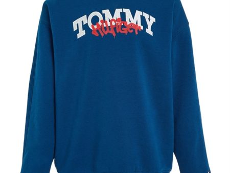 Tommy Hilfiger Graffiti Collegegenser Deep Indigo Fashion