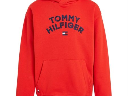 Tommy Hilfiger Flag Hoodie Fireworks Supply