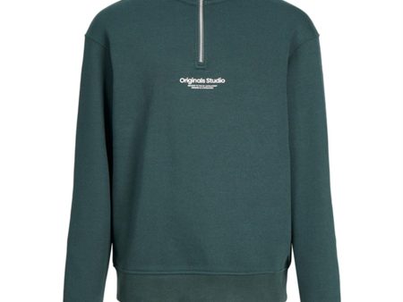 Jack & Jones Junior Magical Forest Jorvesterbro Collegegenser Online