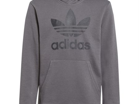 adidas Originals Grey Trefoil Hoodie Online