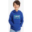 Levi s Batwing Fill Pullover Hoodie Sodalite Blue Online Sale