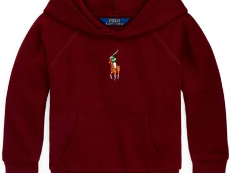 Polo Ralph Lauren Girl Hettegenser Harvard Wine Online now