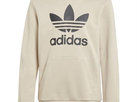 adidas Originals Beige Trefoil Hoodie Supply